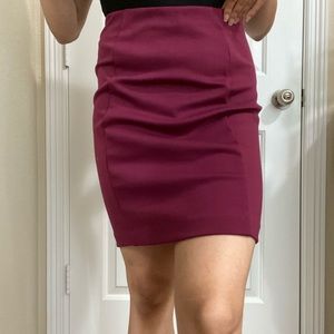 Knee Length Skirt! NWOT